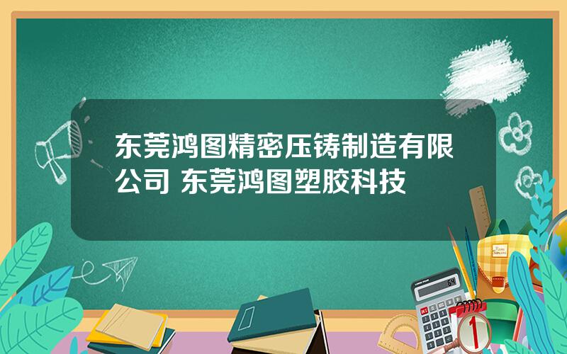 东莞鸿图精密压铸制造有限公司 东莞鸿图塑胶科技